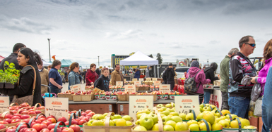 Farmers Markets & Outdoor Event Injuries: Who May Be Responsible? Photo