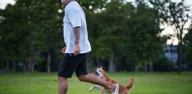 Common Myths About Dog Bite Claims Photo