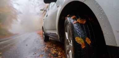 Autumn Driving Hazards: Wet Leaves, Early Frost, and Reduced Visibility Photo