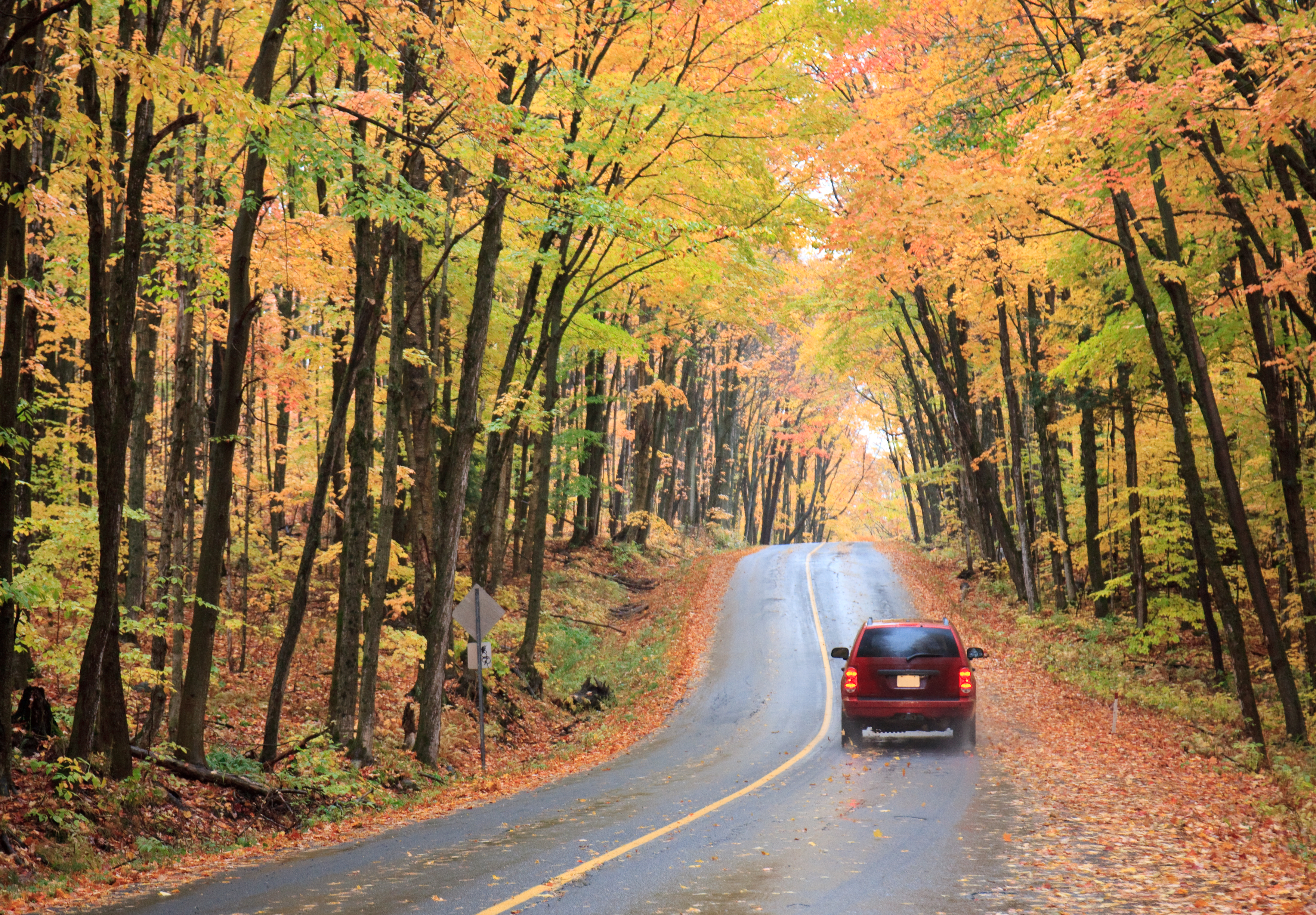 Red Sedan Driving Through Ontario Country Road During Autumn