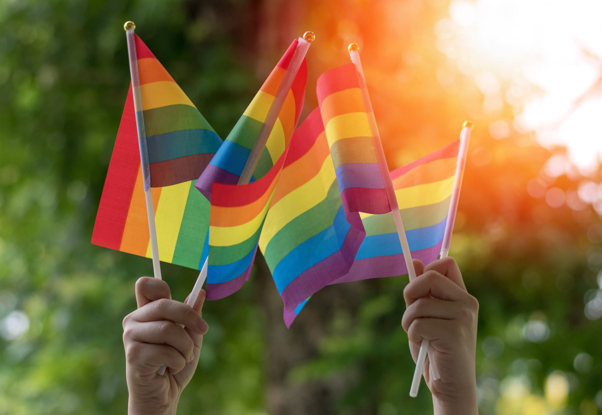a person holding rainbow flags in their hands